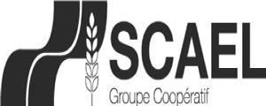 logo-scael-nb